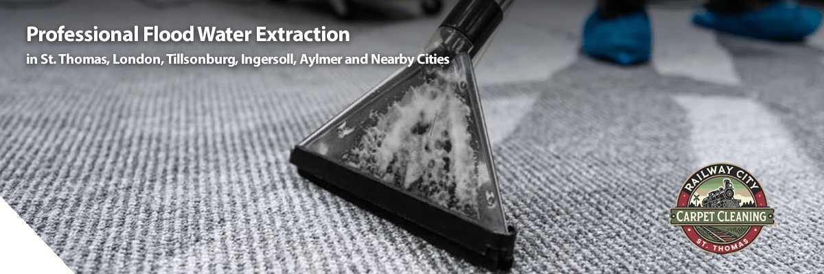 Professional Flood Water Extraction-min