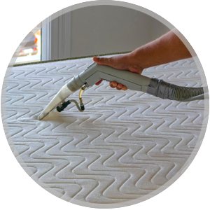 Leather Cleaning Service Icon